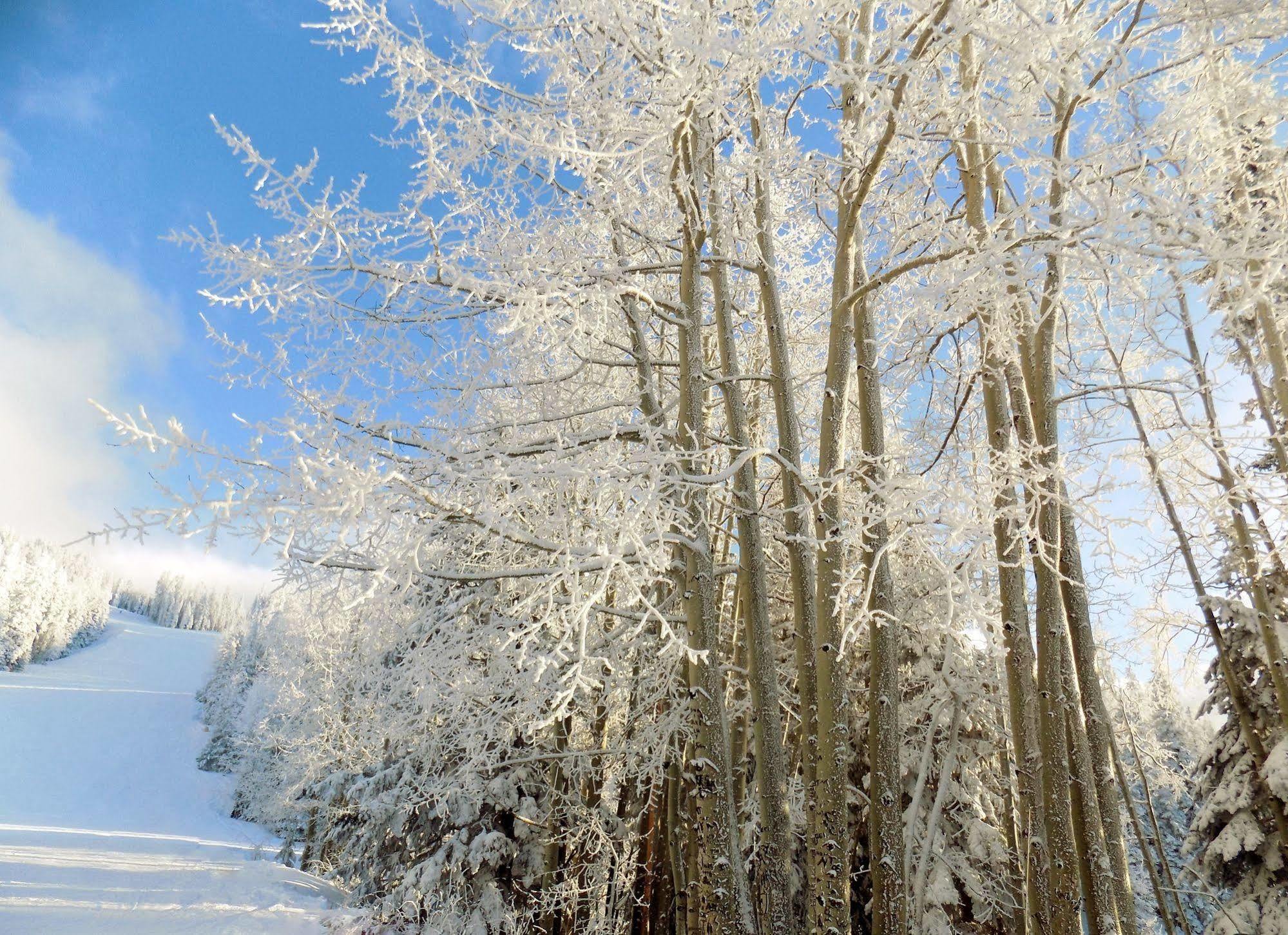 Country Inn & Suites By Radisson, Flagstaff, Az エクステリア 写真